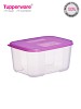 Tupperware Mini Freezer Mate Set, 300ml, Set of 2 (161) @ 30% OFF Rs 351.00 Only FREE Shipping + Extra Discount - Lunch Box Online, Buy Lunch Box Online Online, Tumblers Online Shop, Tupperware Rainbow Tumblers, Buy Tupperware Rainbow Tumblers,  online Sabse Sasta in India -  for  - 2104/20150801