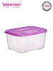 Tupperware Mini Freezer Mate Set, 700ml 1Pc (162) @ 26% OFF Rs 371.00 Only FREE Shipping + Extra Discount - Tupperware AquaSafe Bottle, Buy Tupperware AquaSafe Bottle Online, Tupperware Mini Freezer Mate Set, Water Bottle, Buy Water Bottle,  online Sabse Sasta in India -  for  - 2105/20150803