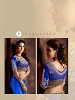 NARVANI @ 31% OFF Rs 2442.00 Only FREE Shipping + Extra Discount - Chiffon With Gold Cotton, Buy Chiffon With Gold Cotton Online, Saree, Party Wear Saree, Buy Party Wear Saree,  online Sabse Sasta in India - Sarees for Women - 4083/20151012