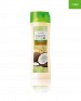 Nature Secrets Shampoo for Dry and Damaged Hair Wheat & Coconut @ 26% OFF Rs 259.00 Only FREE Shipping + Extra Discount - Nature Secrets Shampoo, Buy Nature Secrets Shampoo Online, Online Shopping, Oriflame Hair Care, Buy Oriflame Hair Care,  online Sabse Sasta in India - Hair Care for Beauty Products - 2147/20150803