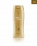 Milk & Honey Gold Shampoo @ 20% OFF Rs 278.00 Only FREE Shipping + Extra Discount - Oriflame Hair Care, Buy Oriflame Hair Care Online, Oriflame Cosmetics, Oriflame Hair Products Online, Buy Oriflame Hair Products Online,  online Sabse Sasta in India - Hair Care for Beauty Products - 2069/20150801
