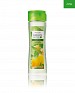 Nature Secrets Shampoo for Greasy Hair Nettle & Lemon @ 26% OFF Rs 259.00 Only FREE Shipping + Extra Discount - Nature Secrets Shampoo, Buy Nature Secrets Shampoo Online, Oriflame Cosmetics, Online Shopping Products, Buy Online Shopping Products,  online Sabse Sasta in India - Hair Care for Beauty Products - 2154/20150803