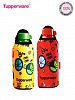 Tupperware Aquasafe Bottle, 500ml, Set of 2 (with His and Her Sleeves) @ 26% OFF Rs 668.00 Only FREE Shipping + Extra Discount - Tupperware Aquasafe Bottle, Buy Tupperware Aquasafe Bottle Online, Lunch Box Online, Water Bottle, Buy Water Bottle,  online Sabse Sasta in India - Lunch Boxes for Accessories - 2161/20150805