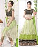 Thankar Latest Ocaasional Parrot Indo western style lahenga choli @ 43% OFF Rs 1853.00 Only FREE Shipping + Extra Discount - Net & Brasso, Buy Net & Brasso Online, Semi-stitched, Anarkali suit, Buy Anarkali suit,  online Sabse Sasta in India -  for  - 3221/20150925