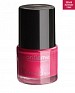 Oriflame Pure Colour Nail Polish - Intense Pink 8ml @ 17% OFF Rs 227.00 Only FREE Shipping + Extra Discount - Oriflame Nail Paint, Buy Oriflame Nail Paint Online, Lipstick Shop,  online Sabse Sasta in India - Makeup & Nail Pants for Beauty Products - 1812/20150720