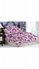 Bombay Dyeing Bluebird Double Bedsheet With 2 Pillow
Cover- Bombay Dyeing, Buy Bombay Dyeing Online, Bedsheet, Pillow cover, Buy Pillow cover,  online Sabse Sasta in India - Bed Sheets for Accessories - 2427/20150923